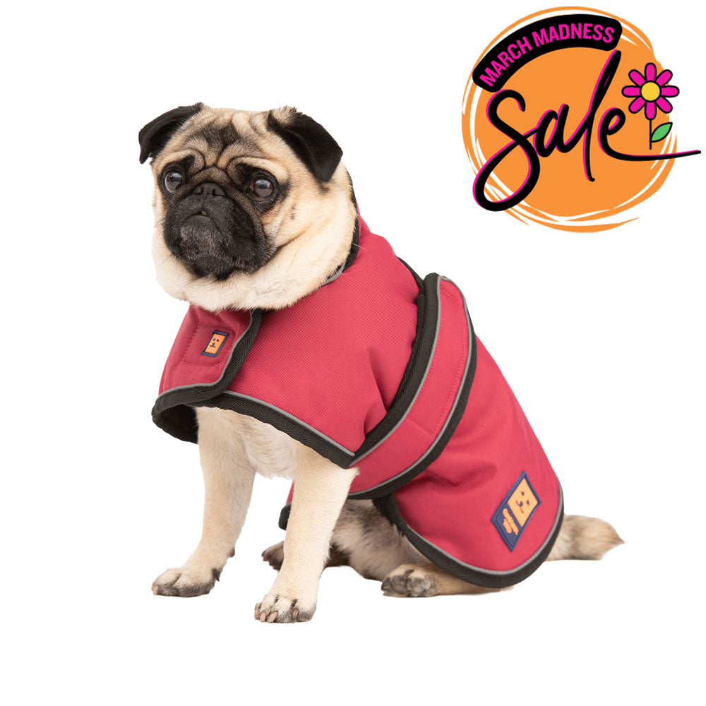 Waterproof Lightweight Pug / Frenchie Dog Coat