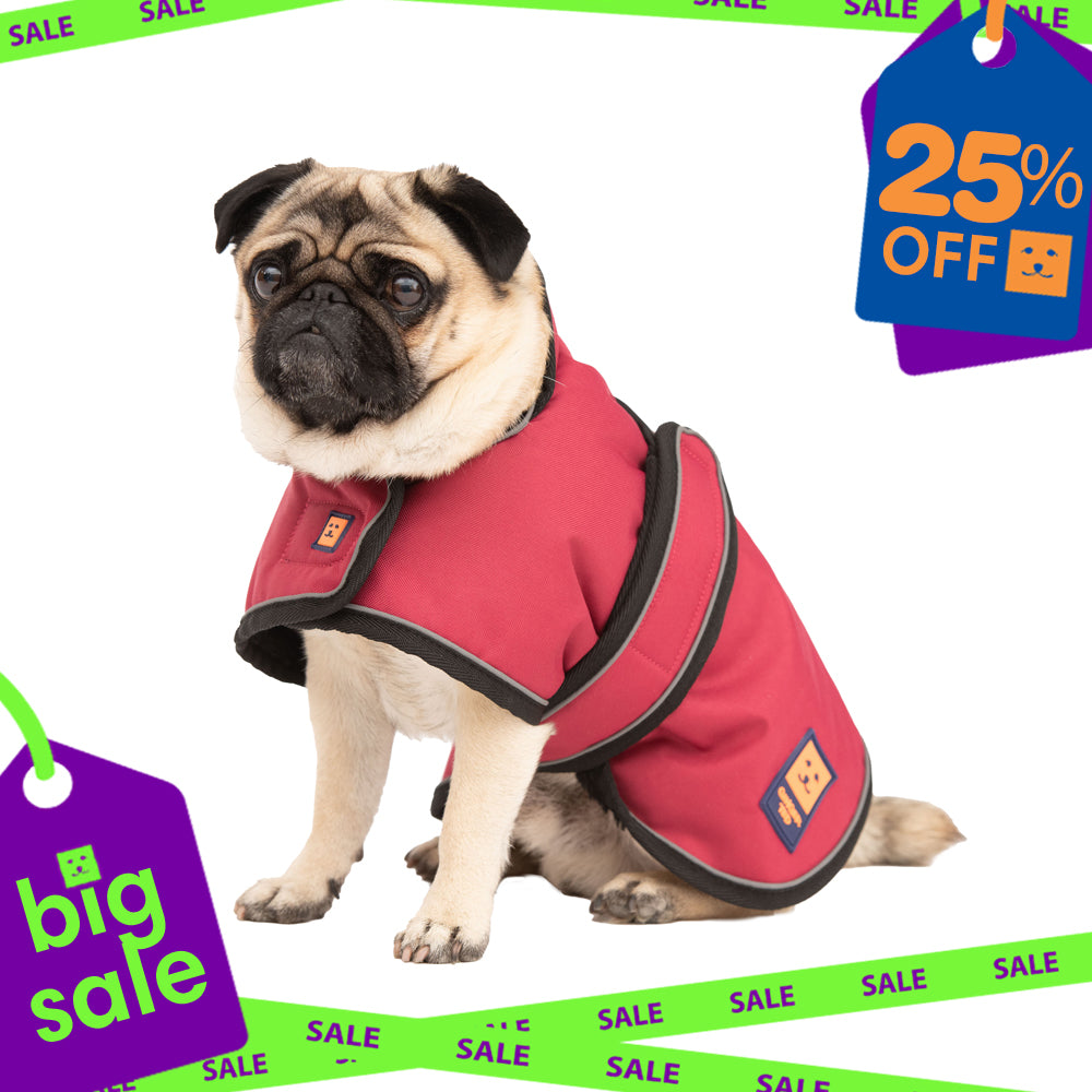 Waterproof Lightweight Pug / Frenchie Dog Coat
