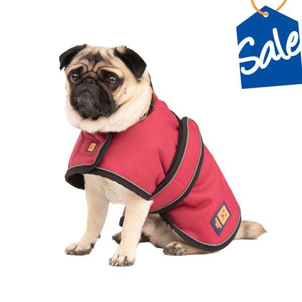Pug dog clothes cheap