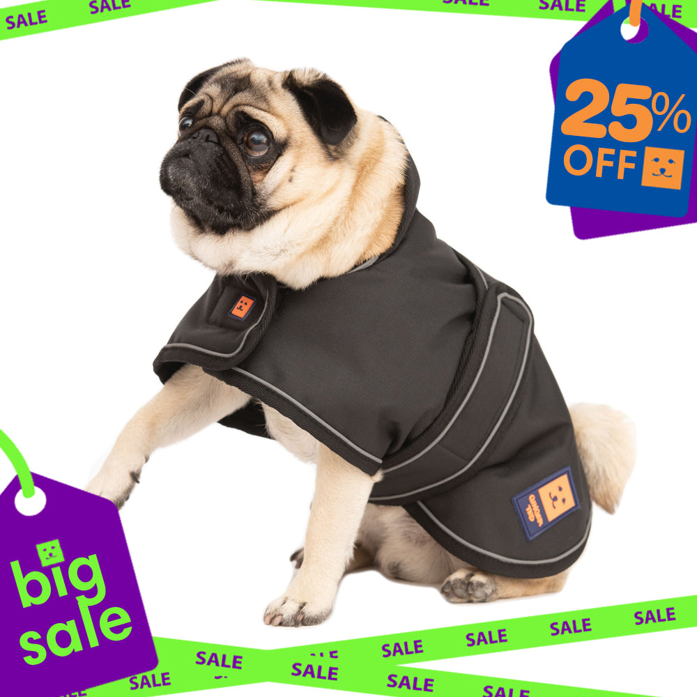 Waterproof Pug / Frenchie Dog Coat with Warm Lining