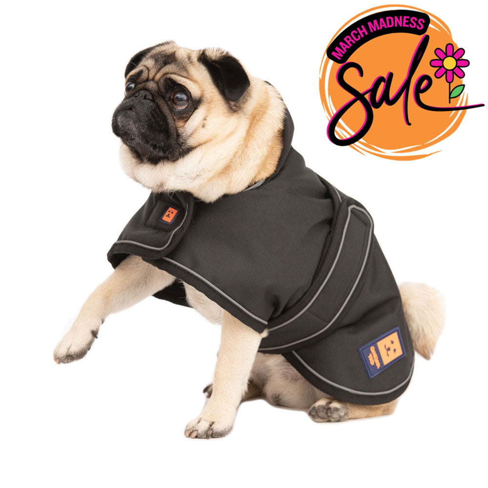 Waterproof Pug / Frenchie Dog Coat with Warm Lining