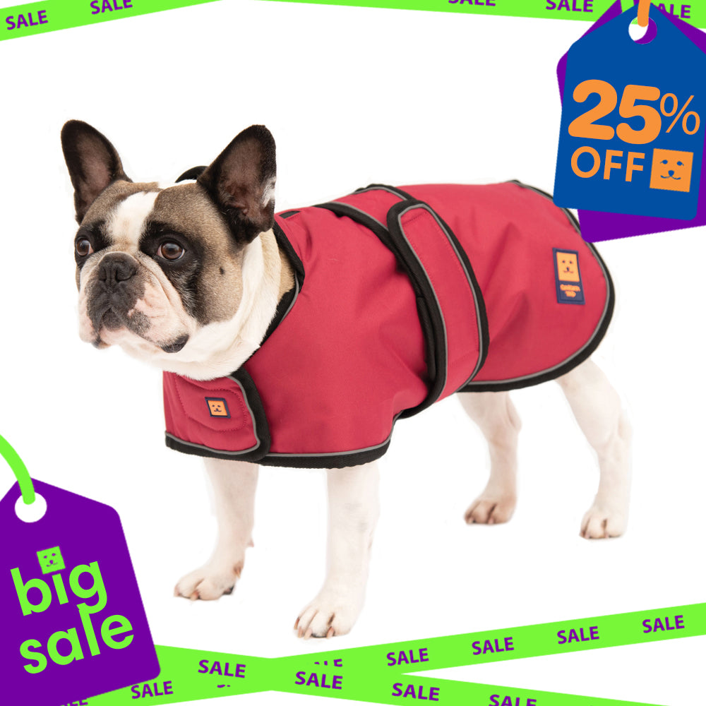 Waterproof Pug / Frenchie Dog Coat with Warm Lining