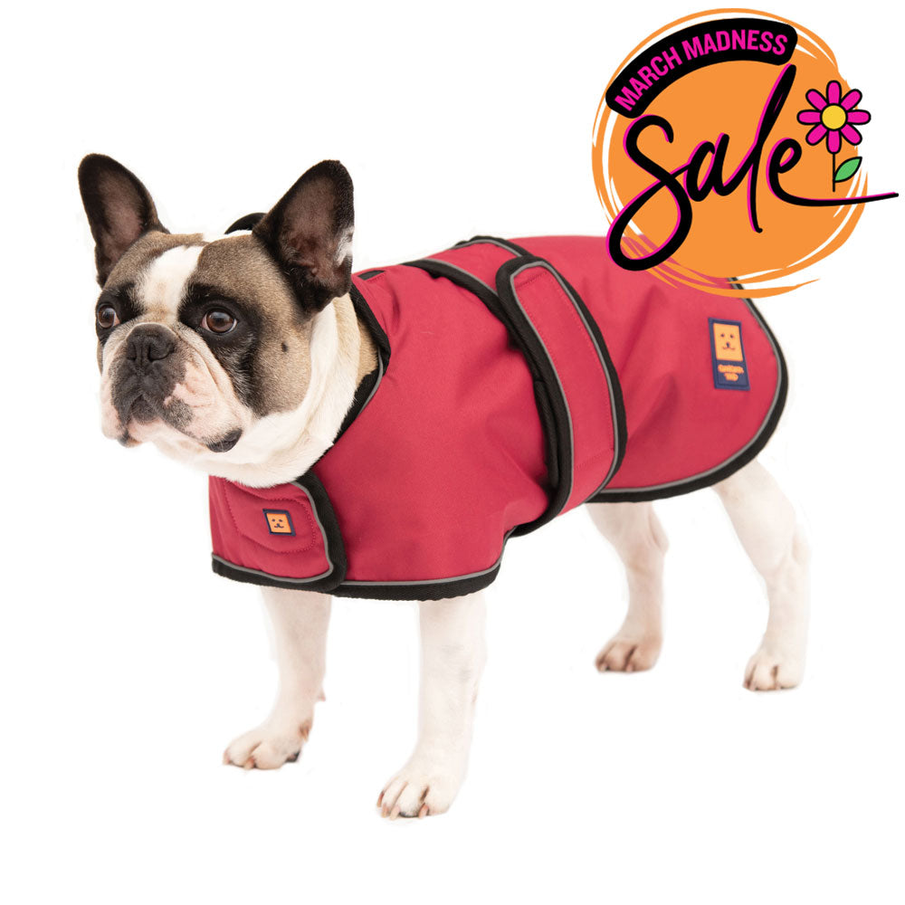 Waterproof Pug / Frenchie Dog Coat with Warm Lining