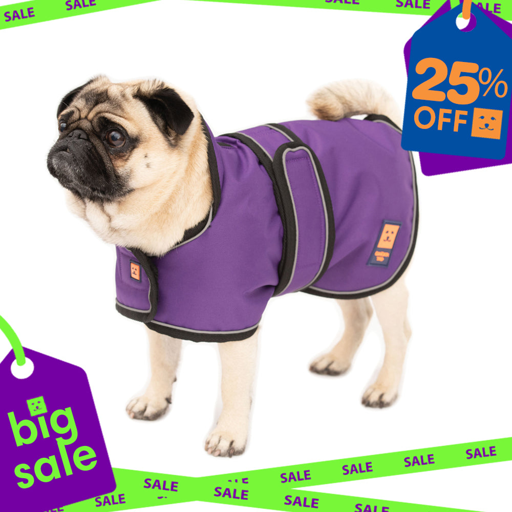 Waterproof Pug / Frenchie Dog Coat with Warm Lining