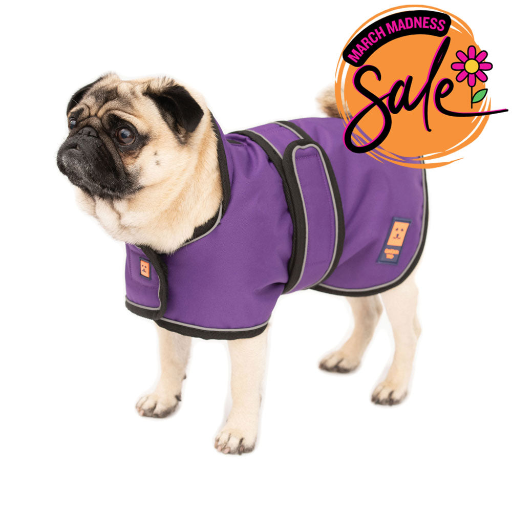 Waterproof Pug / Frenchie Dog Coat with Warm Lining