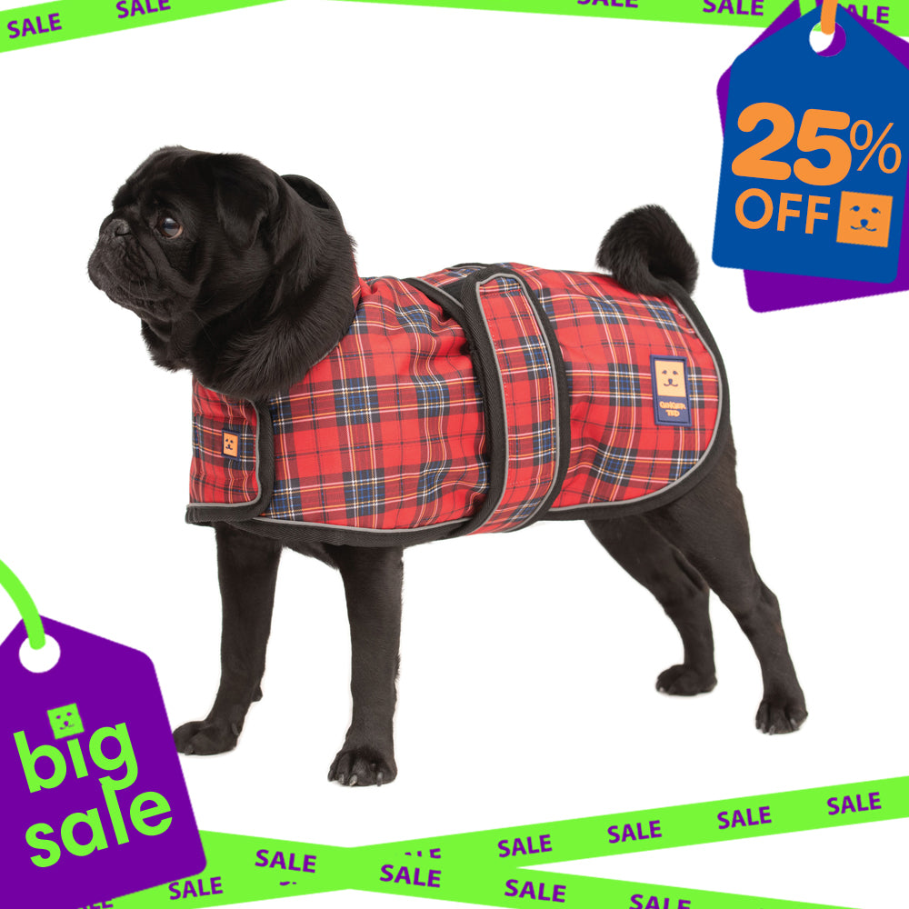 Waterproof Pug / Frenchie Dog Coat with Warm Lining