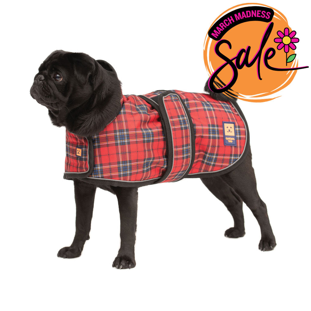 Waterproof Pug / Frenchie Dog Coat with Warm Lining