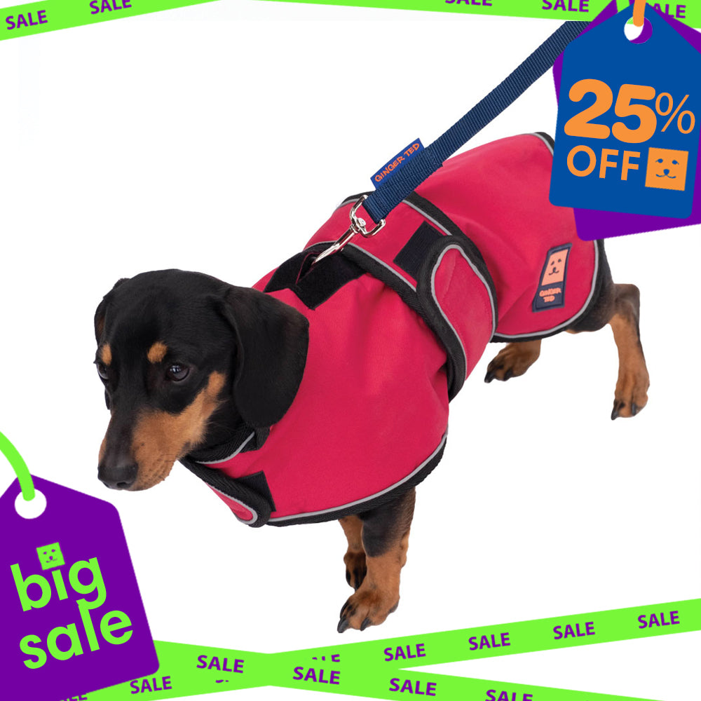 Waterproof Dachshund Harness Dog Coat with Warm Lining