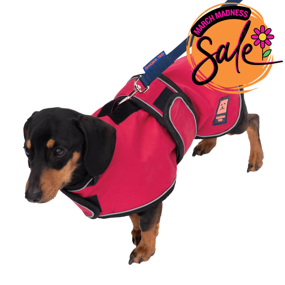 Waterproof Dachshund Harness Dog Coat with Warm Lining