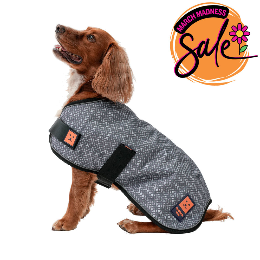 Waterproof Dog Coat (Limited Edition Colours) with Warm Lining