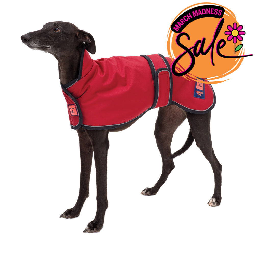 Waterproof Lightweight Greyhound Dog Coat