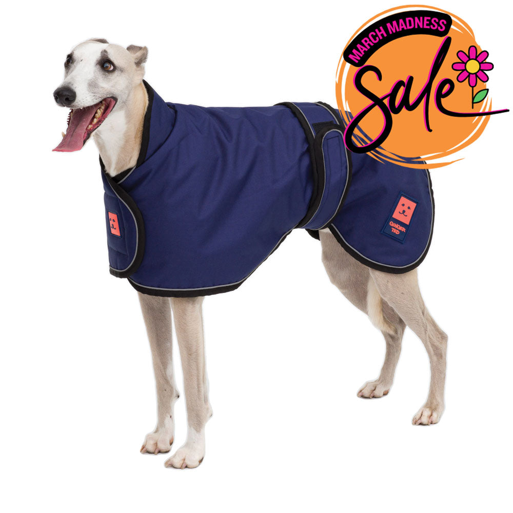 Waterproof Lightweight Greyhound Dog Coat
