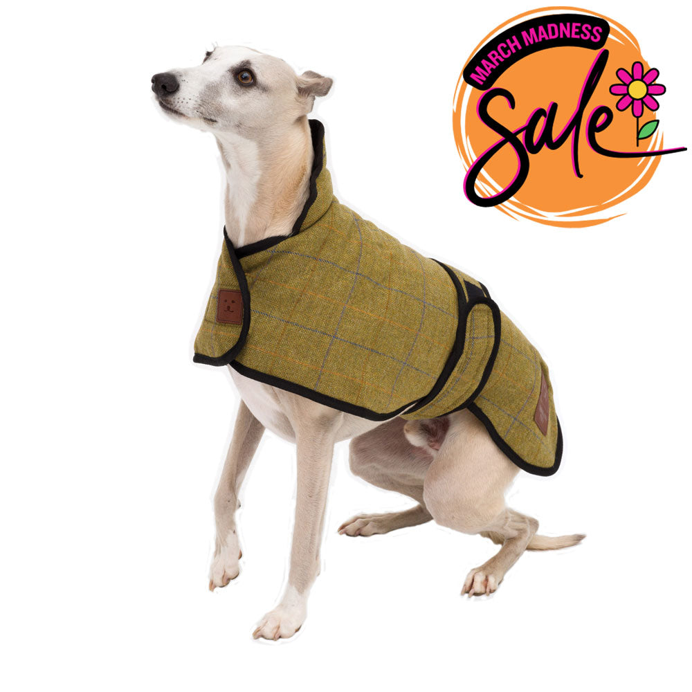 Tweed Greyhound Coat