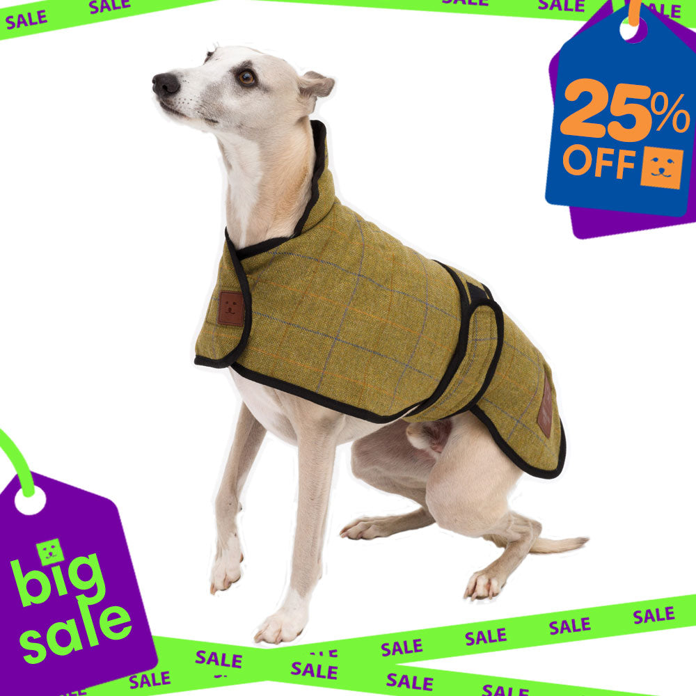 Tweed Greyhound Coat