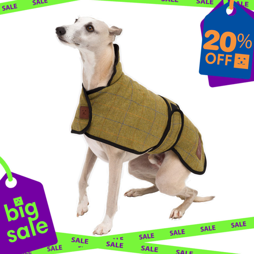 Tweed Greyhound Coat