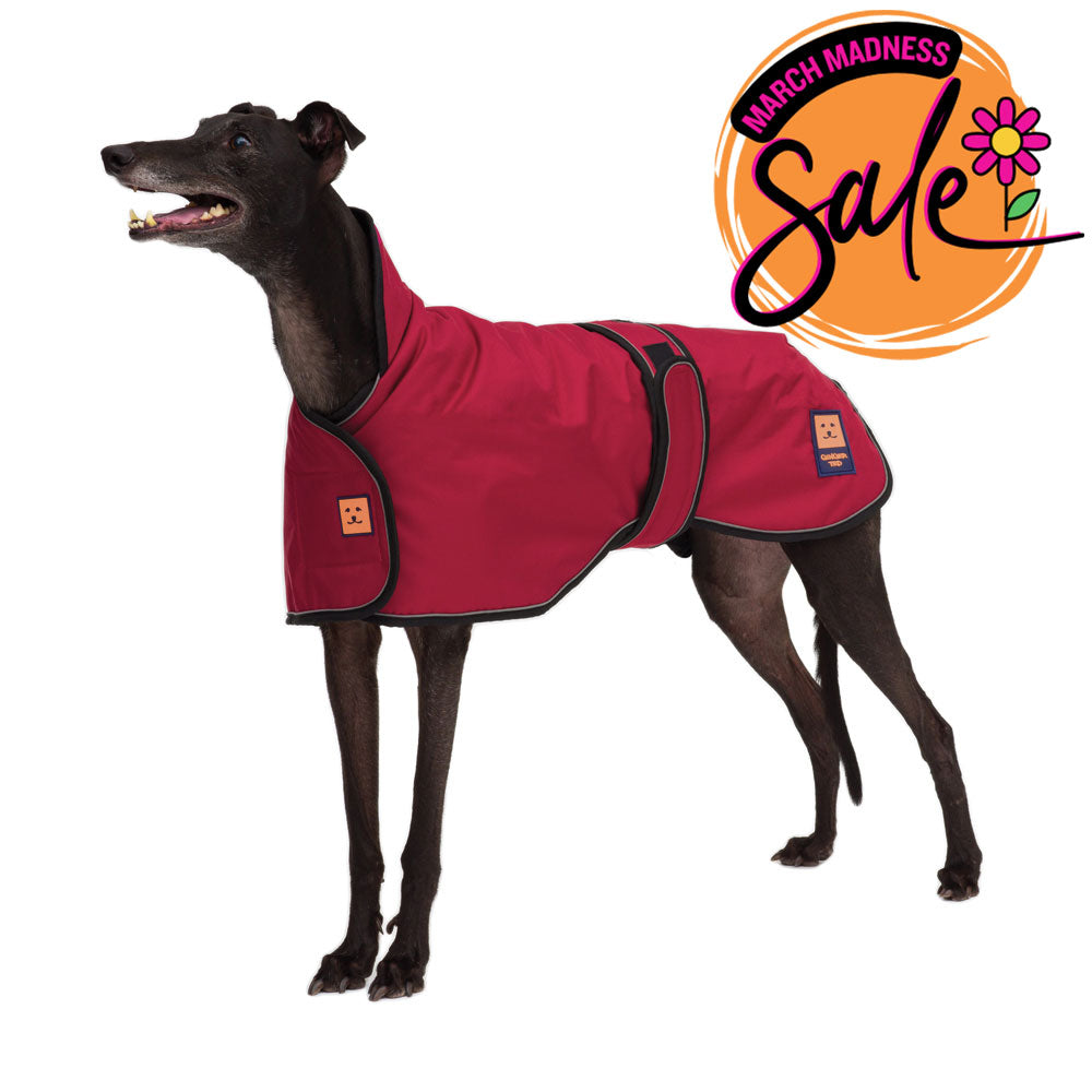 Waterproof Greyhound Dog Coat with Warm Lining