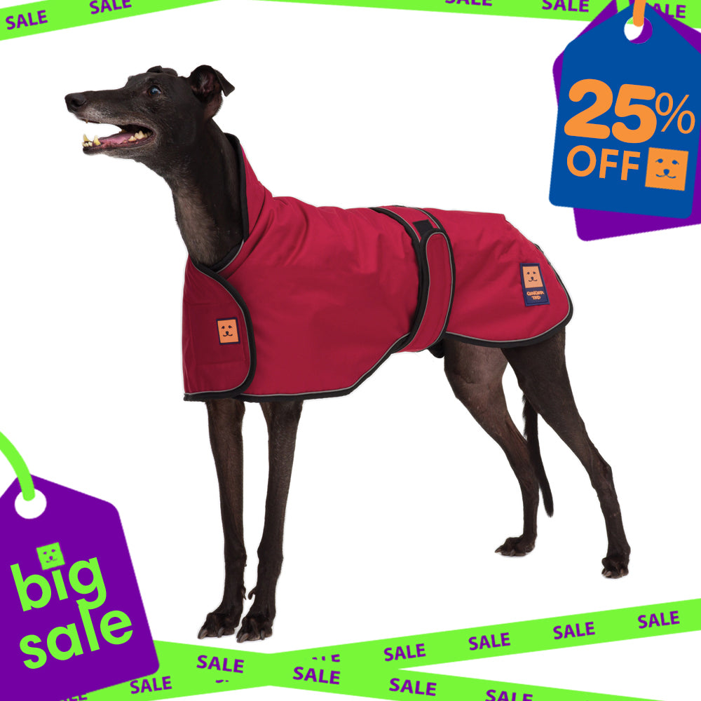 Waterproof Greyhound Dog Coat with Warm Lining