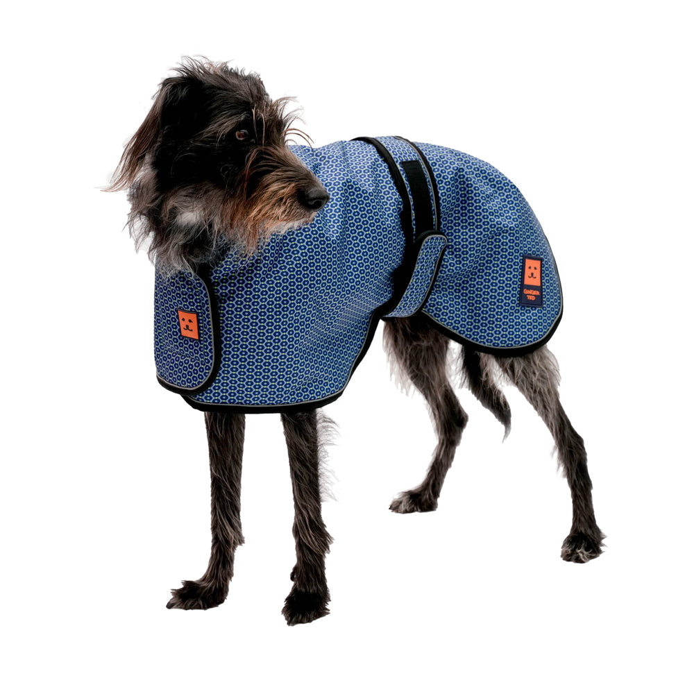 A grey greyhound dog wearing a limited edition Heather Field pattern waterproof warm lined coat by Ginger Ted featuring adjustable straps and reflective piping.