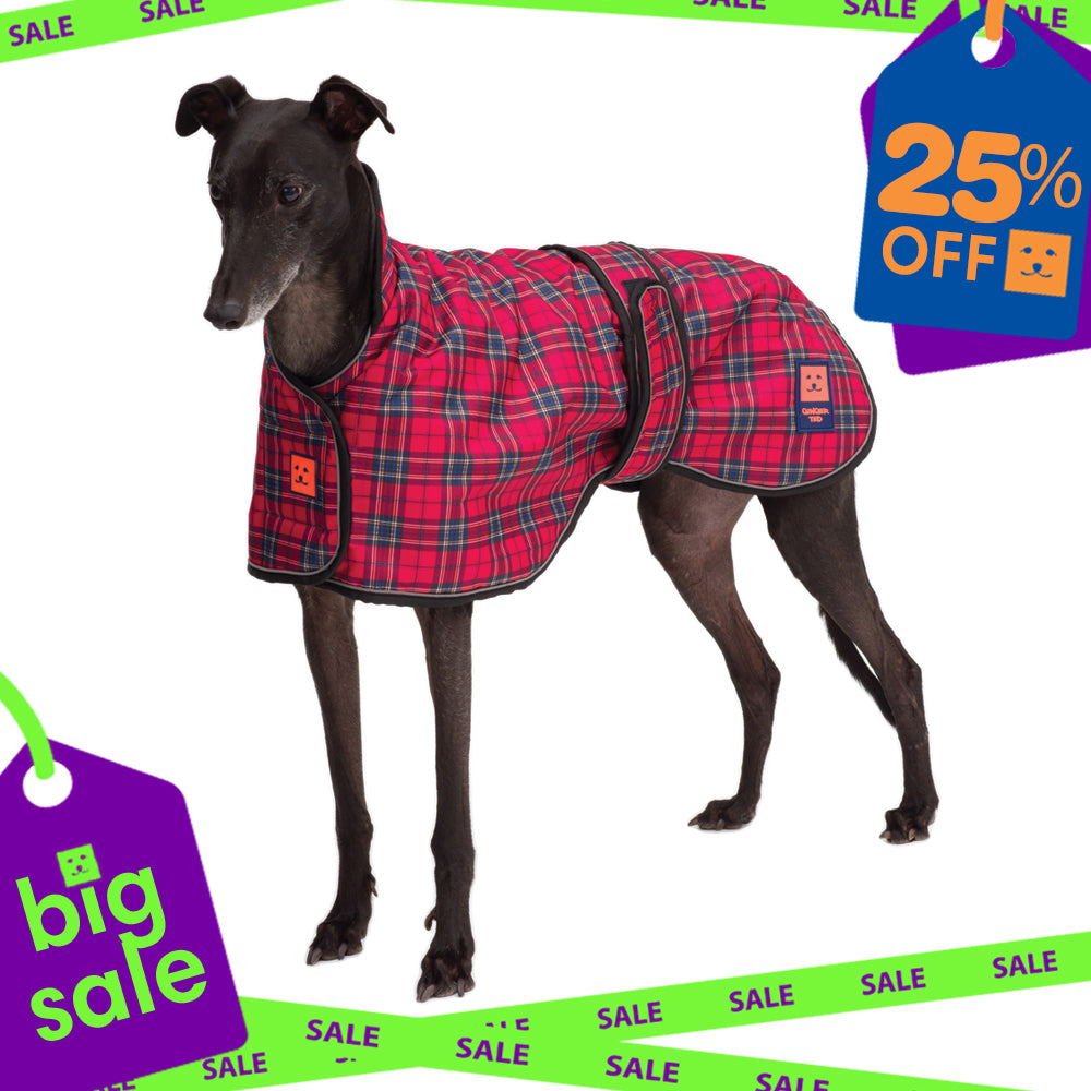 Waterproof Greyhound Dog Coat with Warm Lining