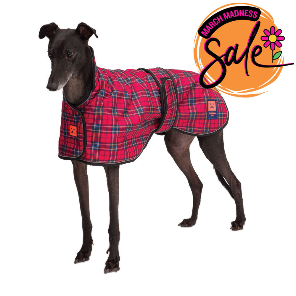Waterproof Greyhound Dog Coat with Warm Lining