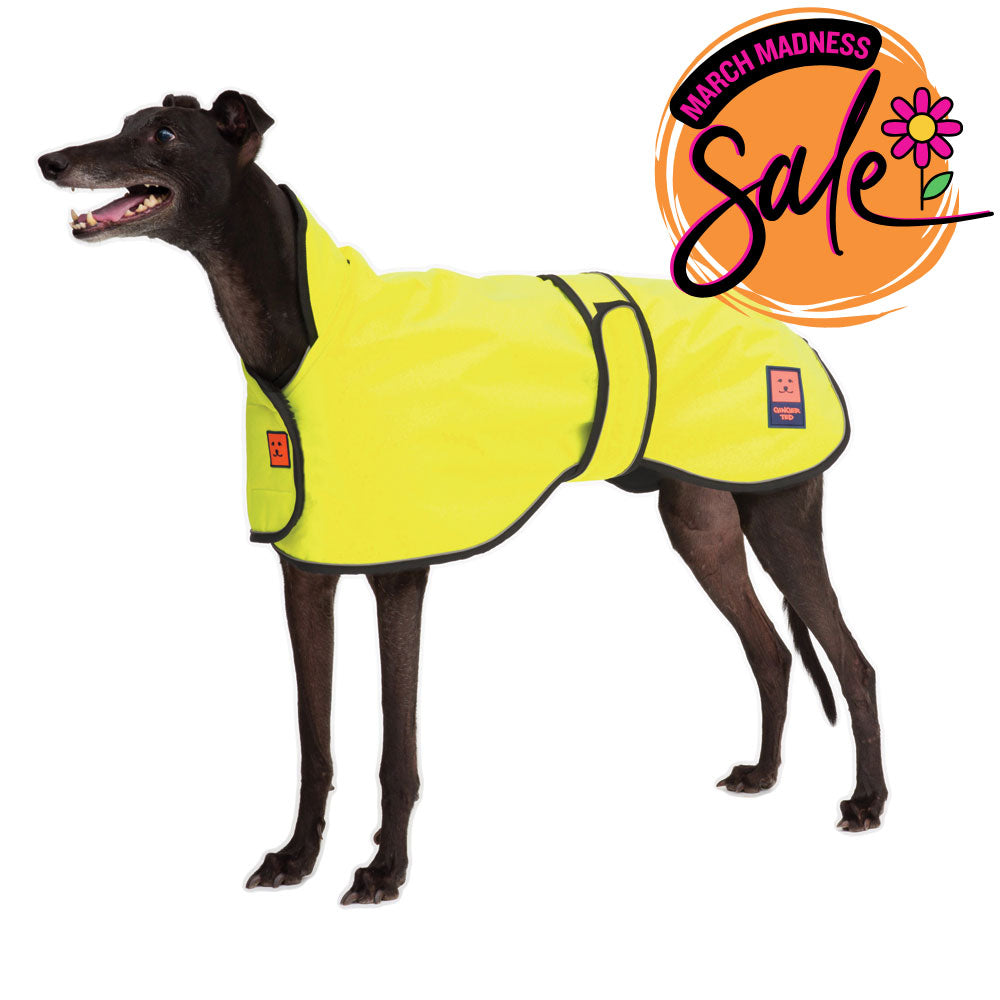 Waterproof Greyhound Dog Coat with Warm Lining