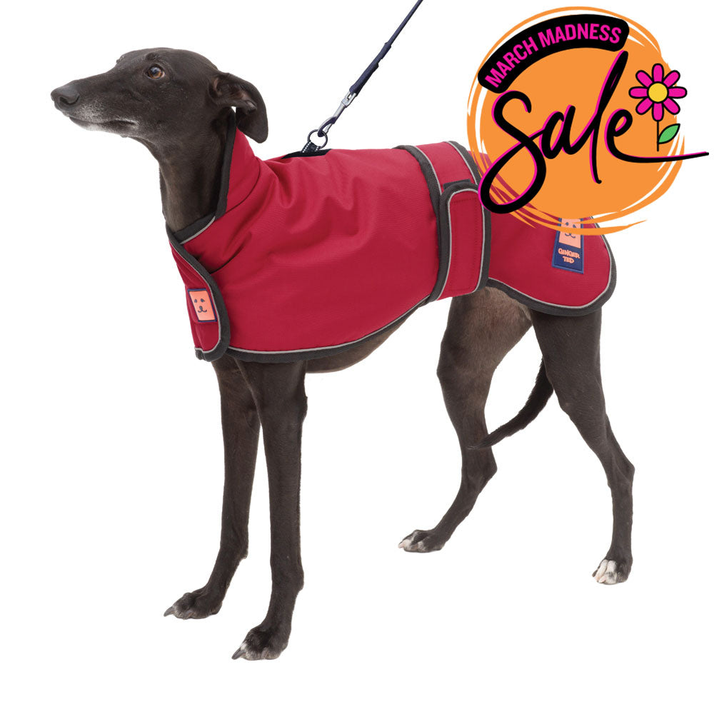 Waterproof Greyhound Harness Dog Coat with Warm Lining