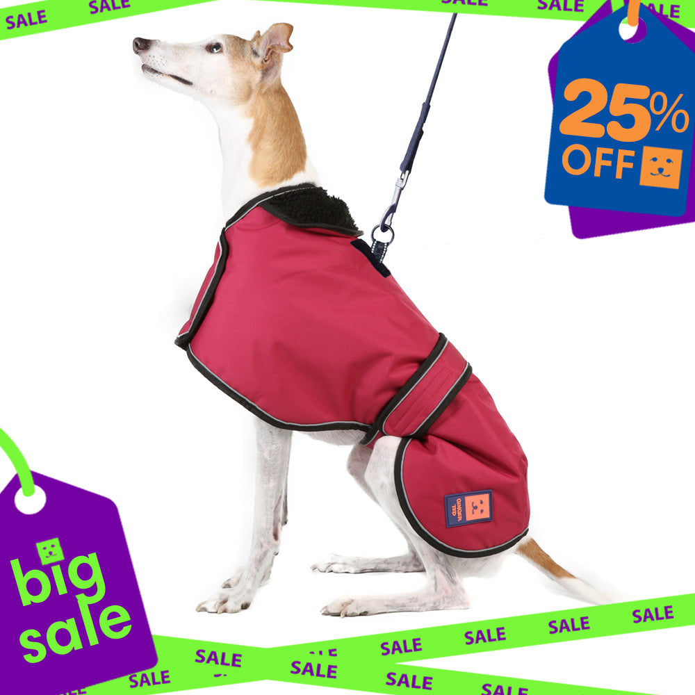 Waterproof Greyhound Harness Dog Coat with Warm Lining