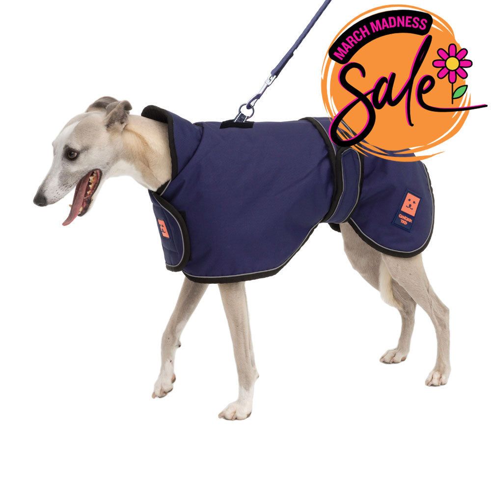 Waterproof Greyhound Harness Dog Coat with Warm Lining