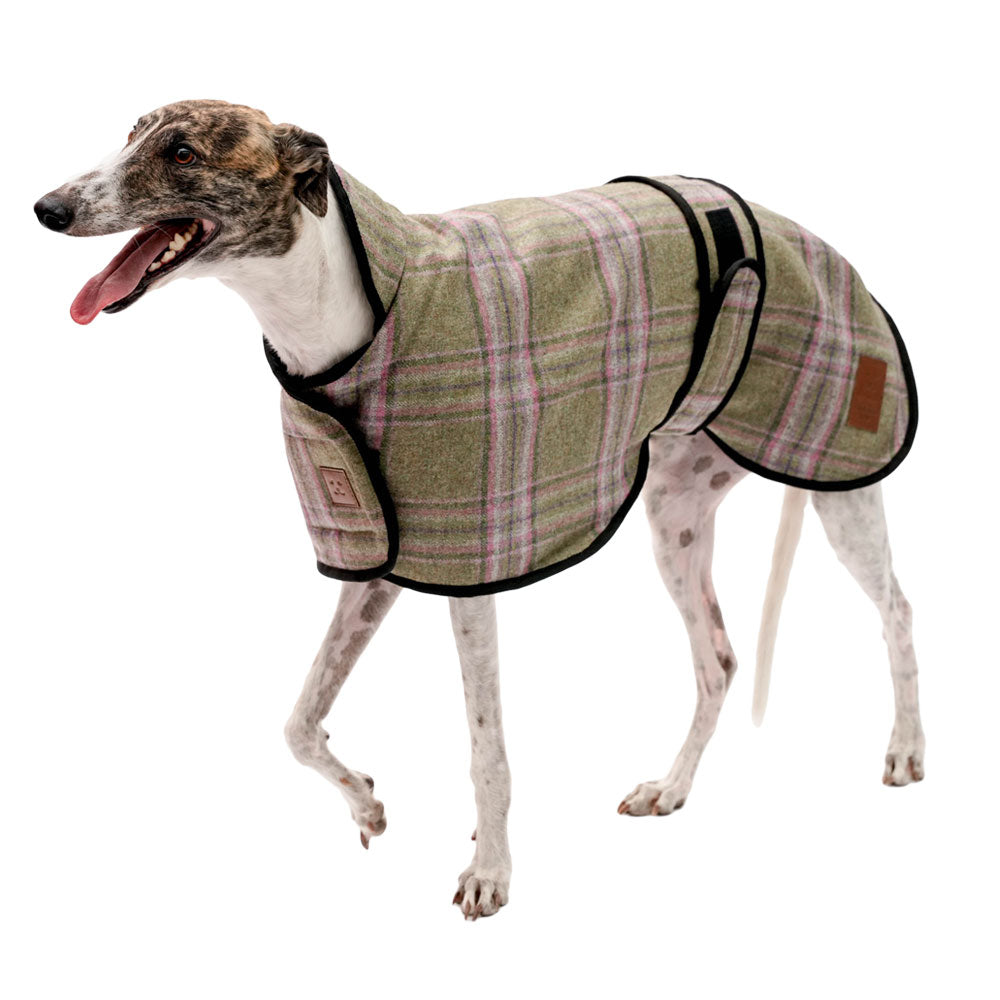 Tweed Greyhound Coat