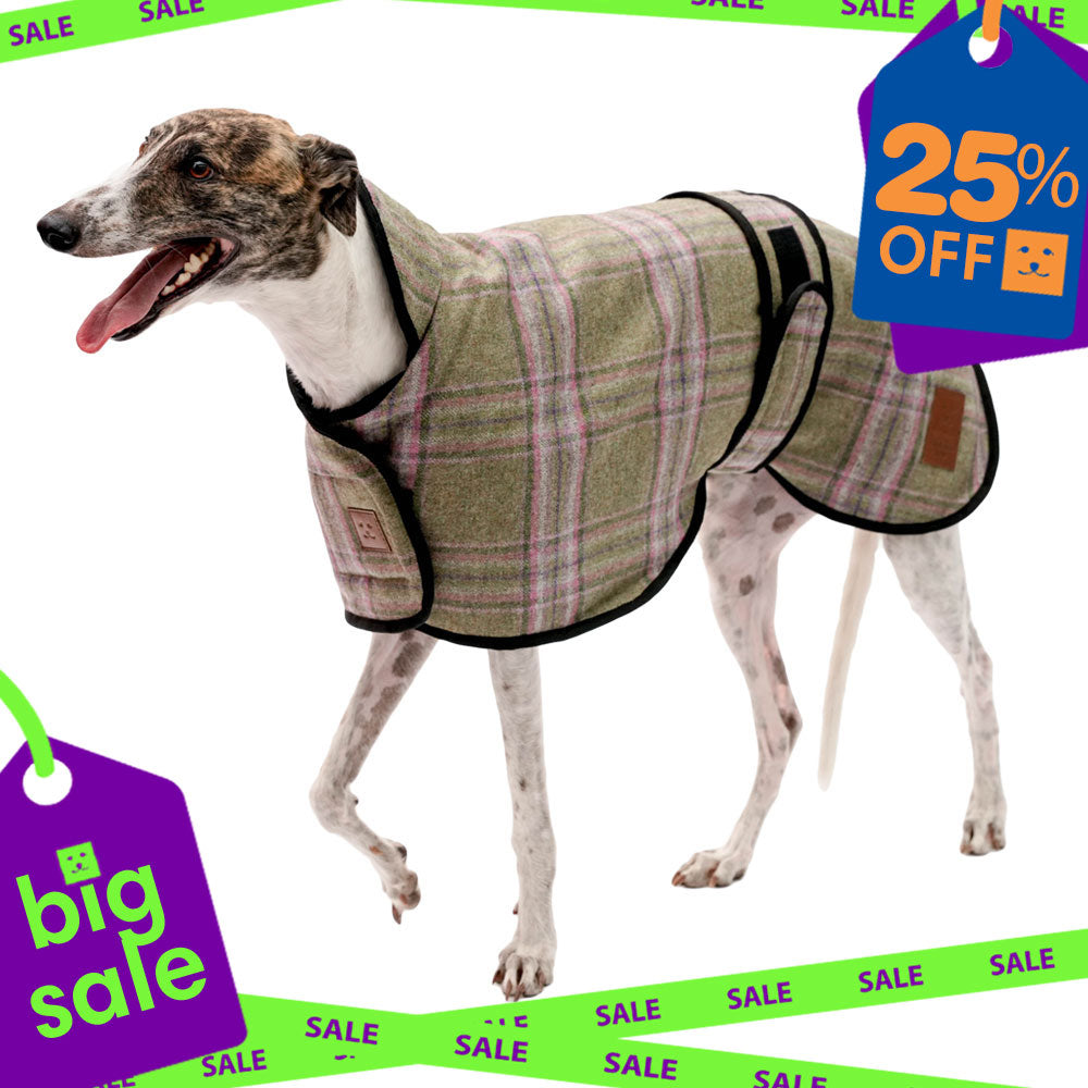 Tweed Greyhound Coat