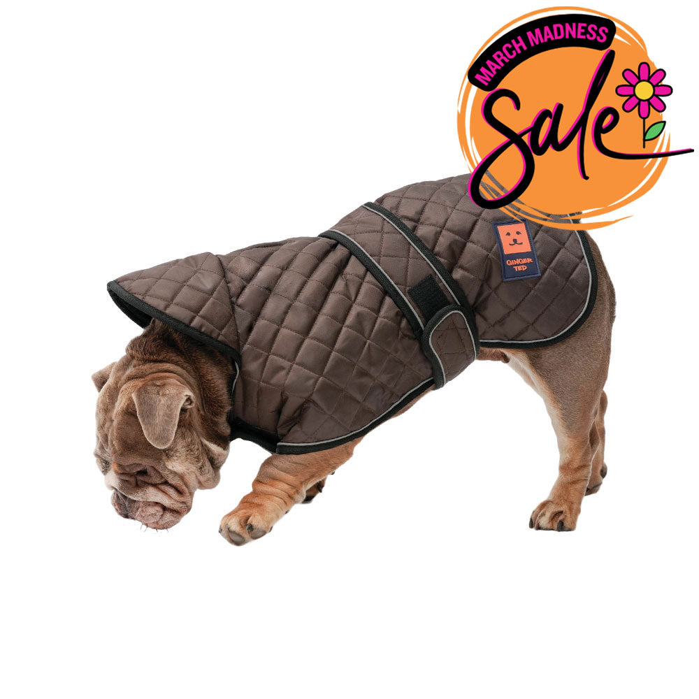 Thermal Harness Bulldog Coat