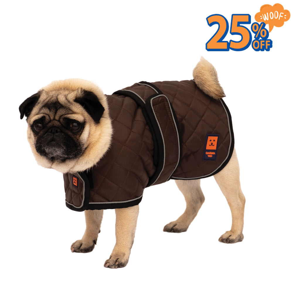 Thermal Harness Pug / Frenchie Coat