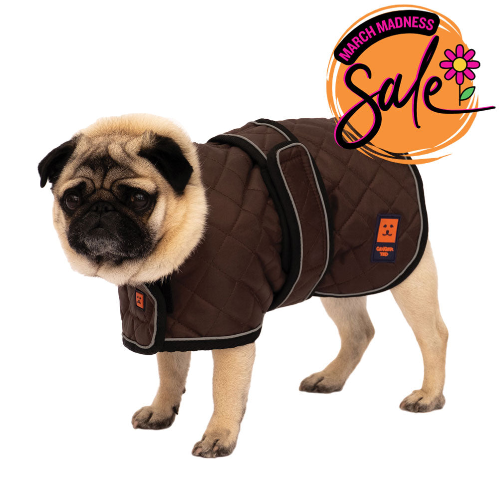 Thermal Harness Pug / Frenchie Coat