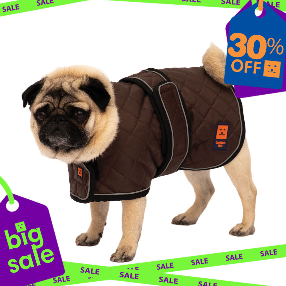 Thermal Harness Pug / Frenchie Coat