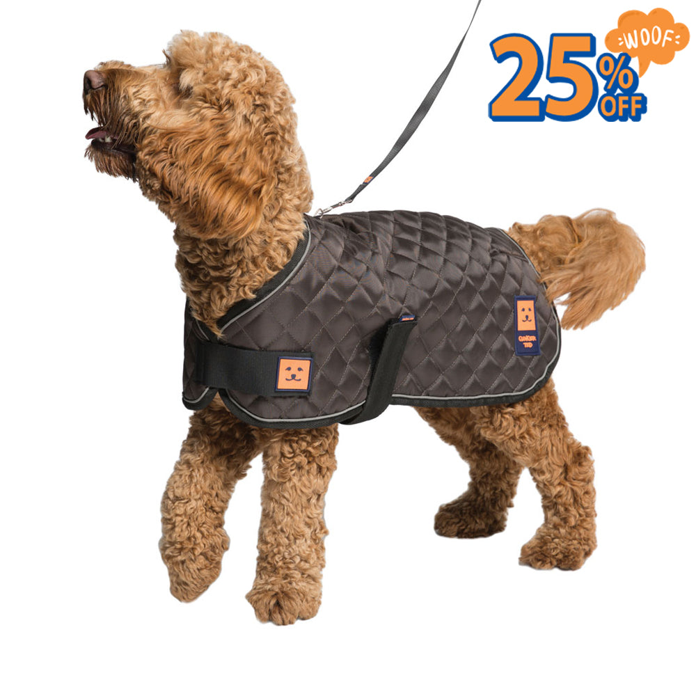 Thermal Harness Quilted Dog Coat