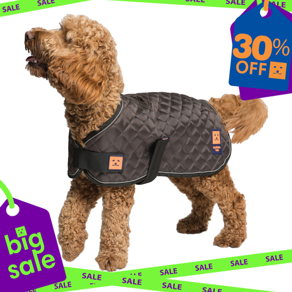 Thermal Harness Quilted Dog Coat