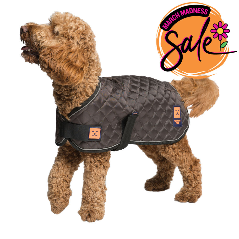 Thermal Harness Quilted Dog Coat