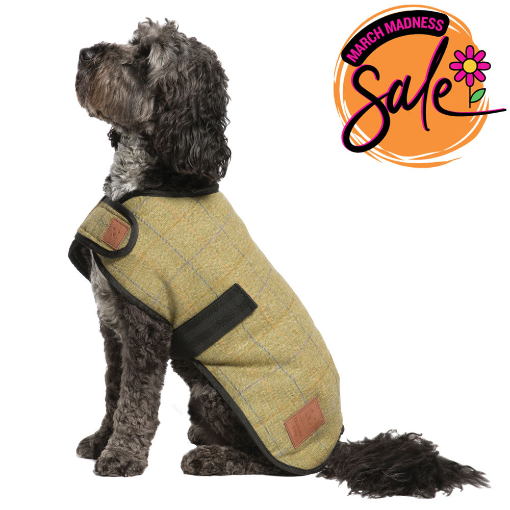 Tweed Dog Coat