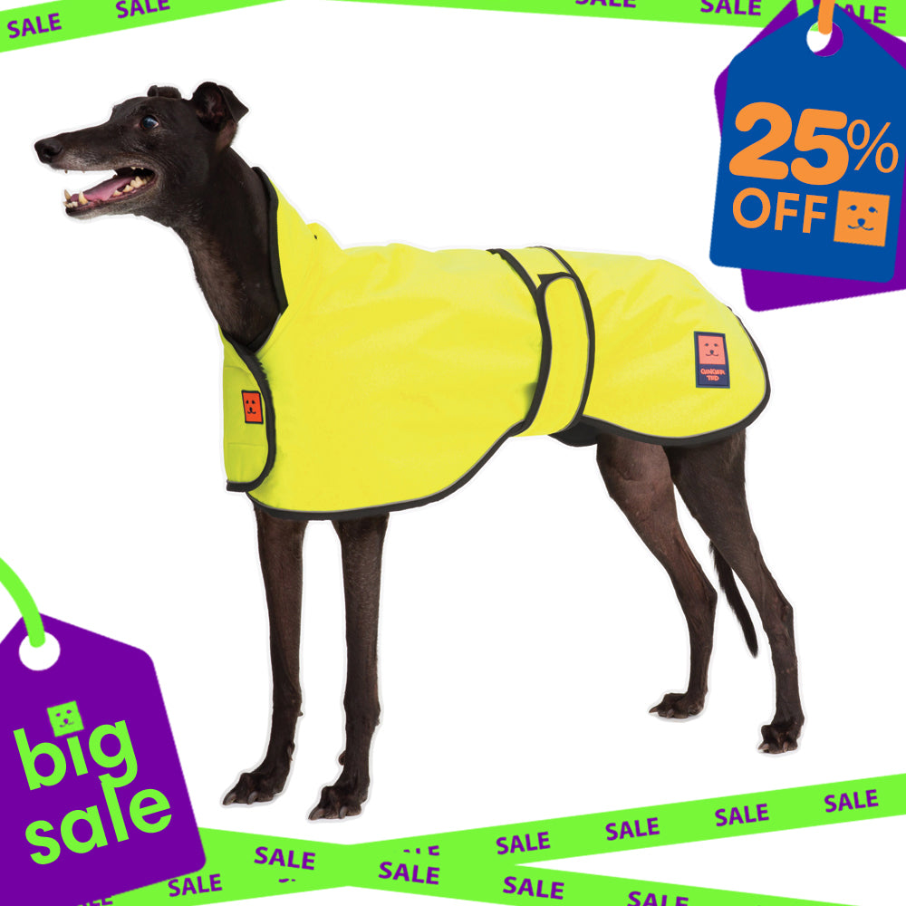 Waterproof Greyhound Dog Coat with Warm Lining