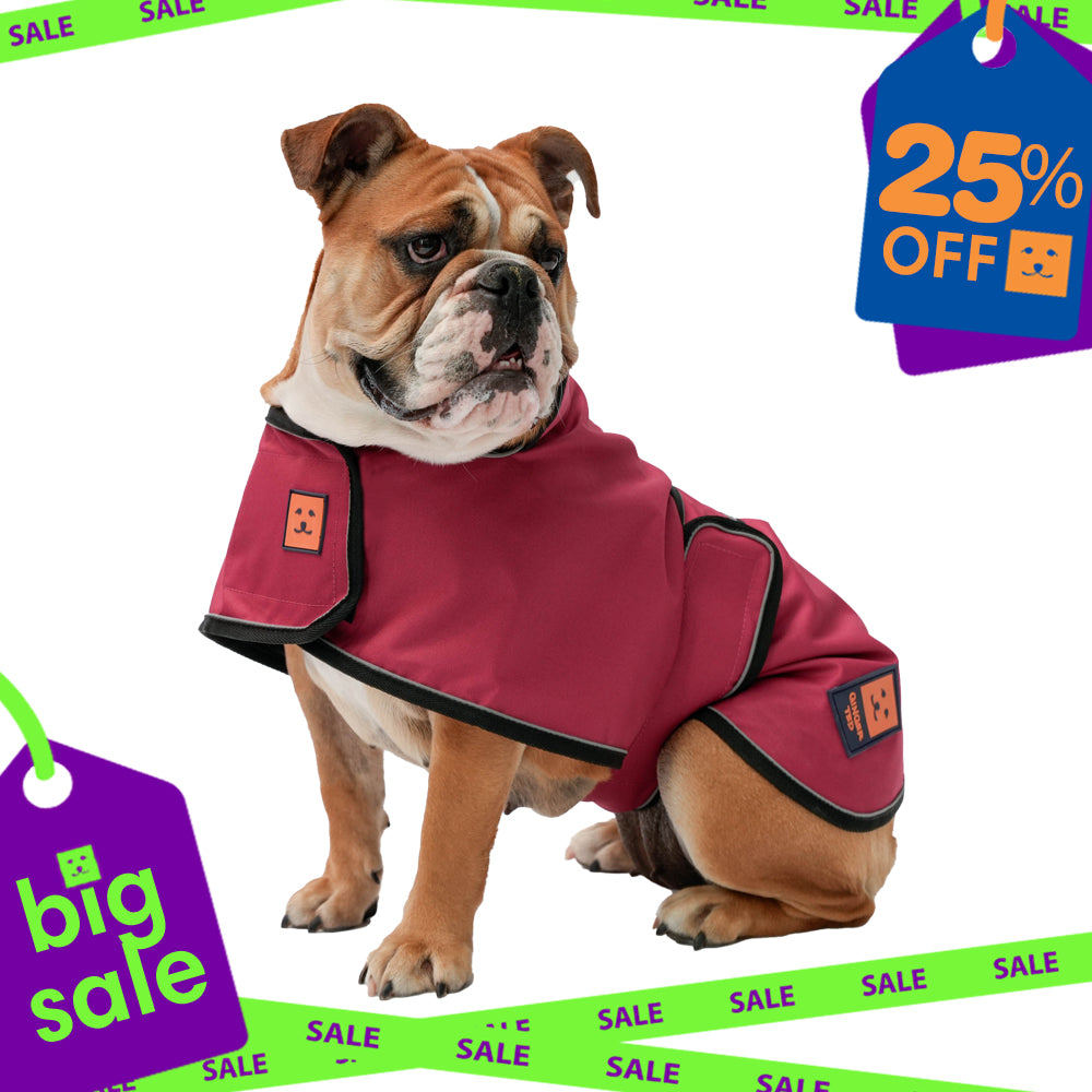 Waterproof Lightweight Bulldog Dog Coat
