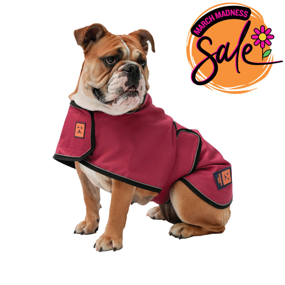 Waterproof Lightweight Bulldog Dog Coat