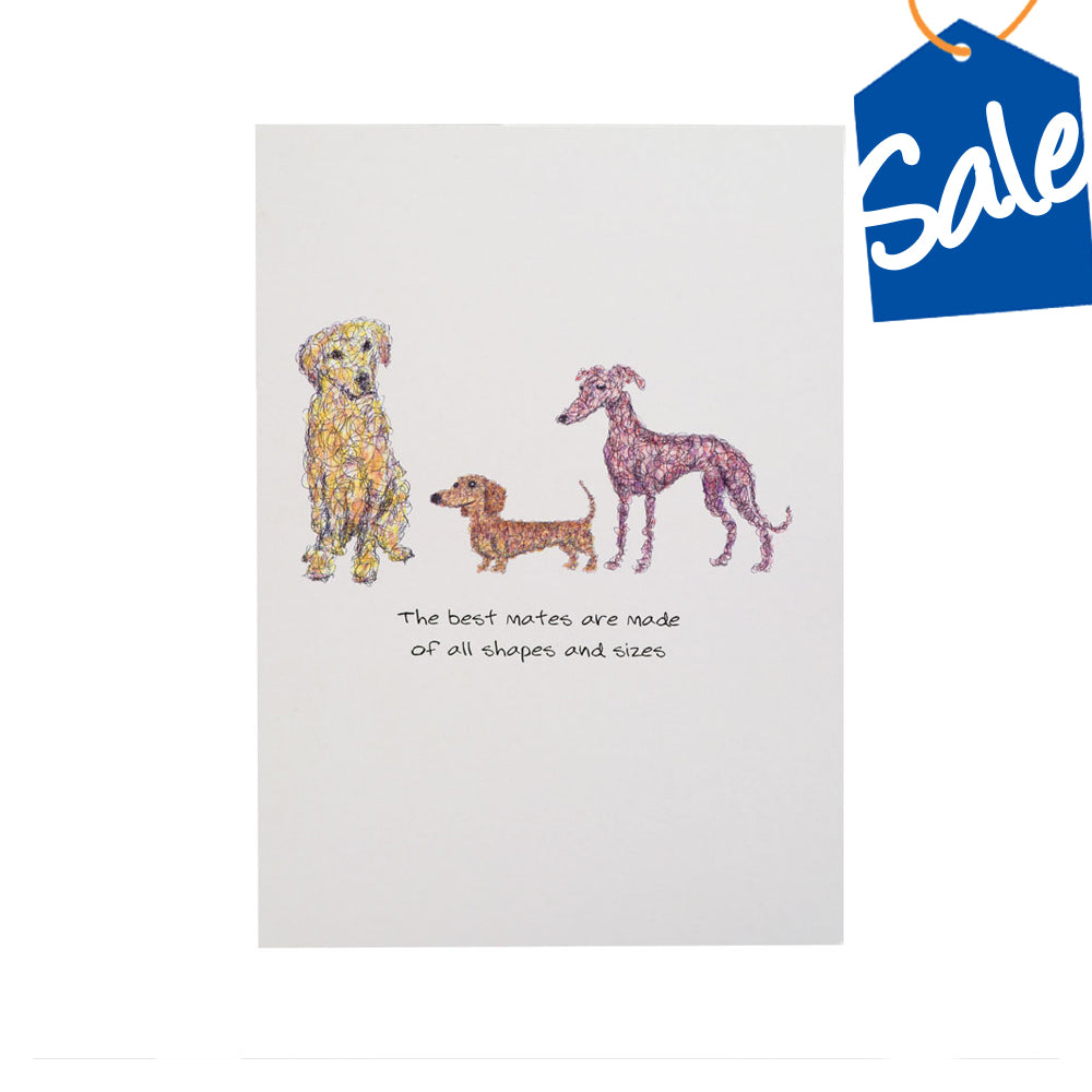 Doodle Gift Cards (pack of 6)