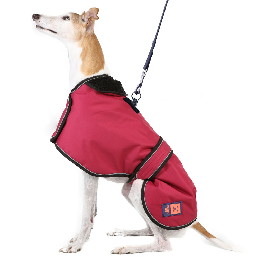 Waterproof Greyhound Harness Dog Coat with Warm Lining