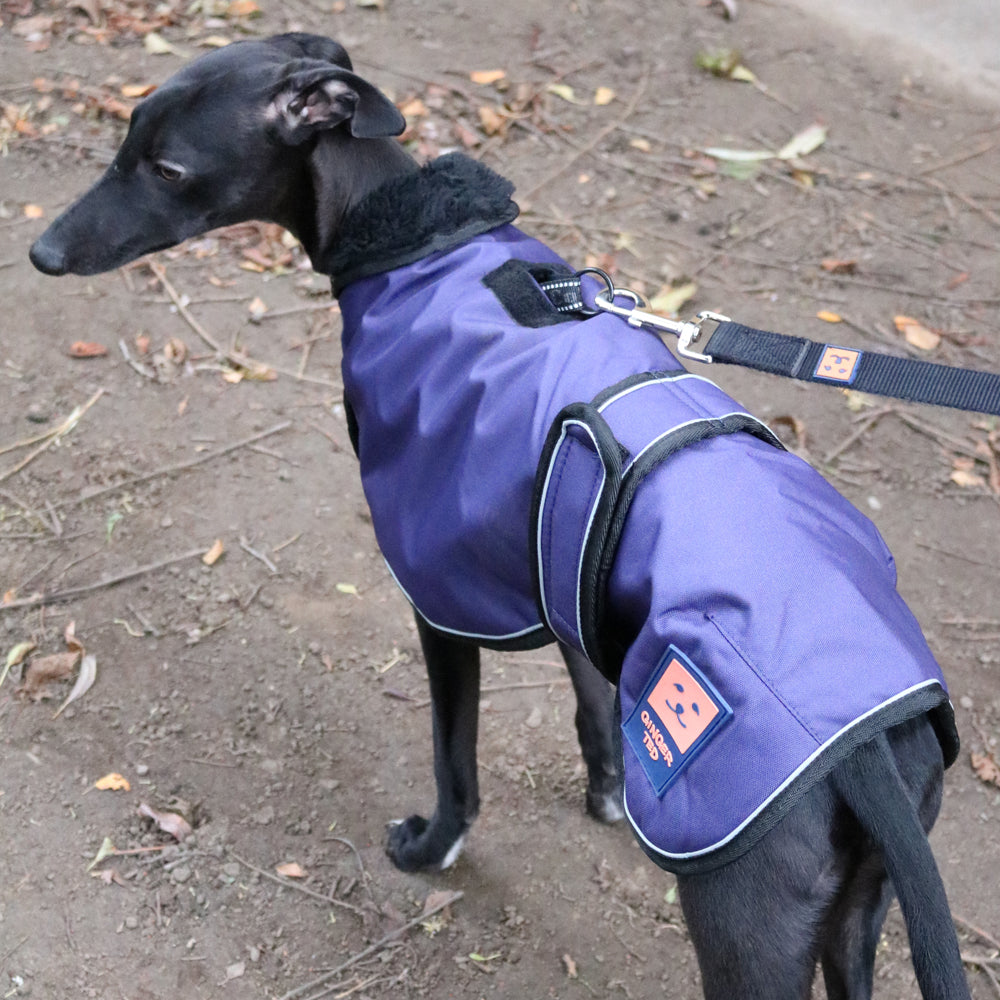 Waterproof Harness Whippet/Greyhound Coat Ginger Ted Ltd