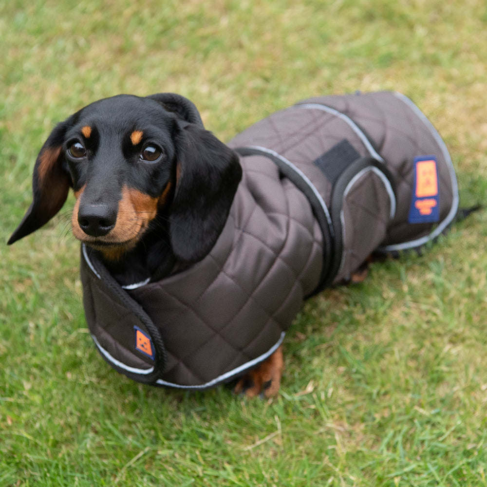 Thermal Harness Dachshund Quilted Coat