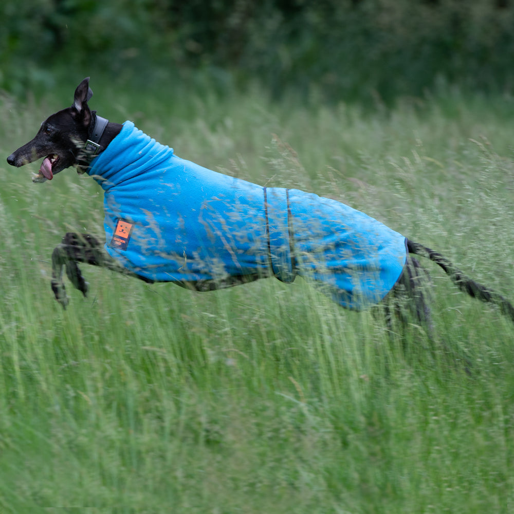 Lurcher jumpers clearance uk