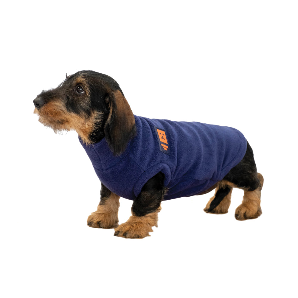 Shower Waterproof Dachshund Coat Ginger Ted Ginger Ted Ltd
