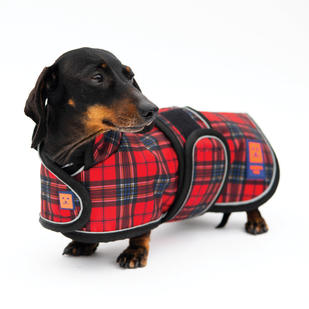Waterproof Dachshund Dog Coat with Warm Lining