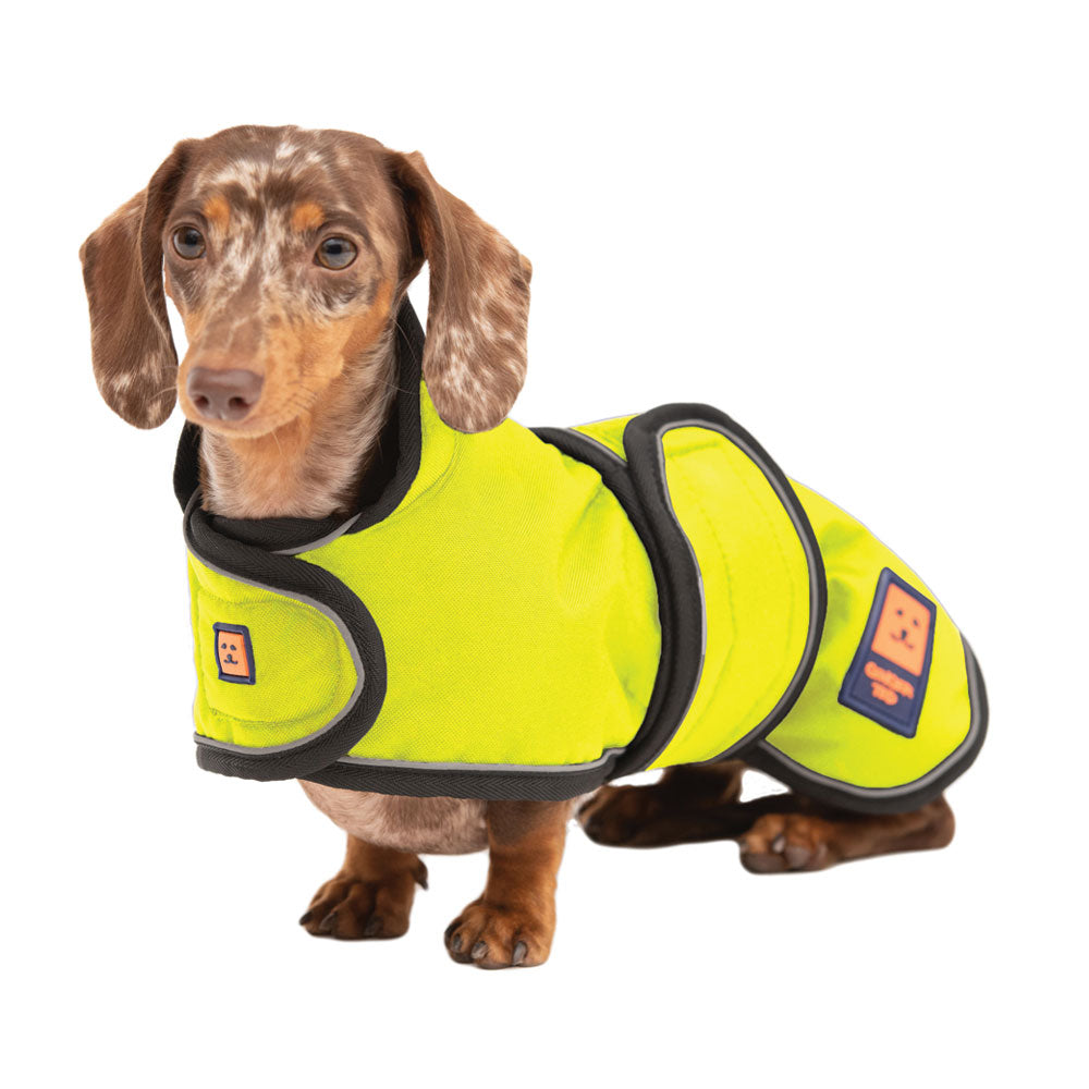 Lightweight Waterproof Dog Coats Ginger Ted Ginger Ted Ltd