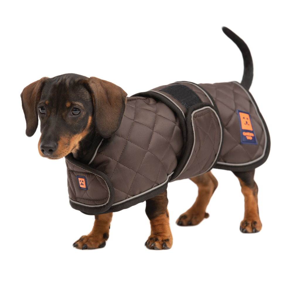 Thermal Harness Dachshund Quilted Coat